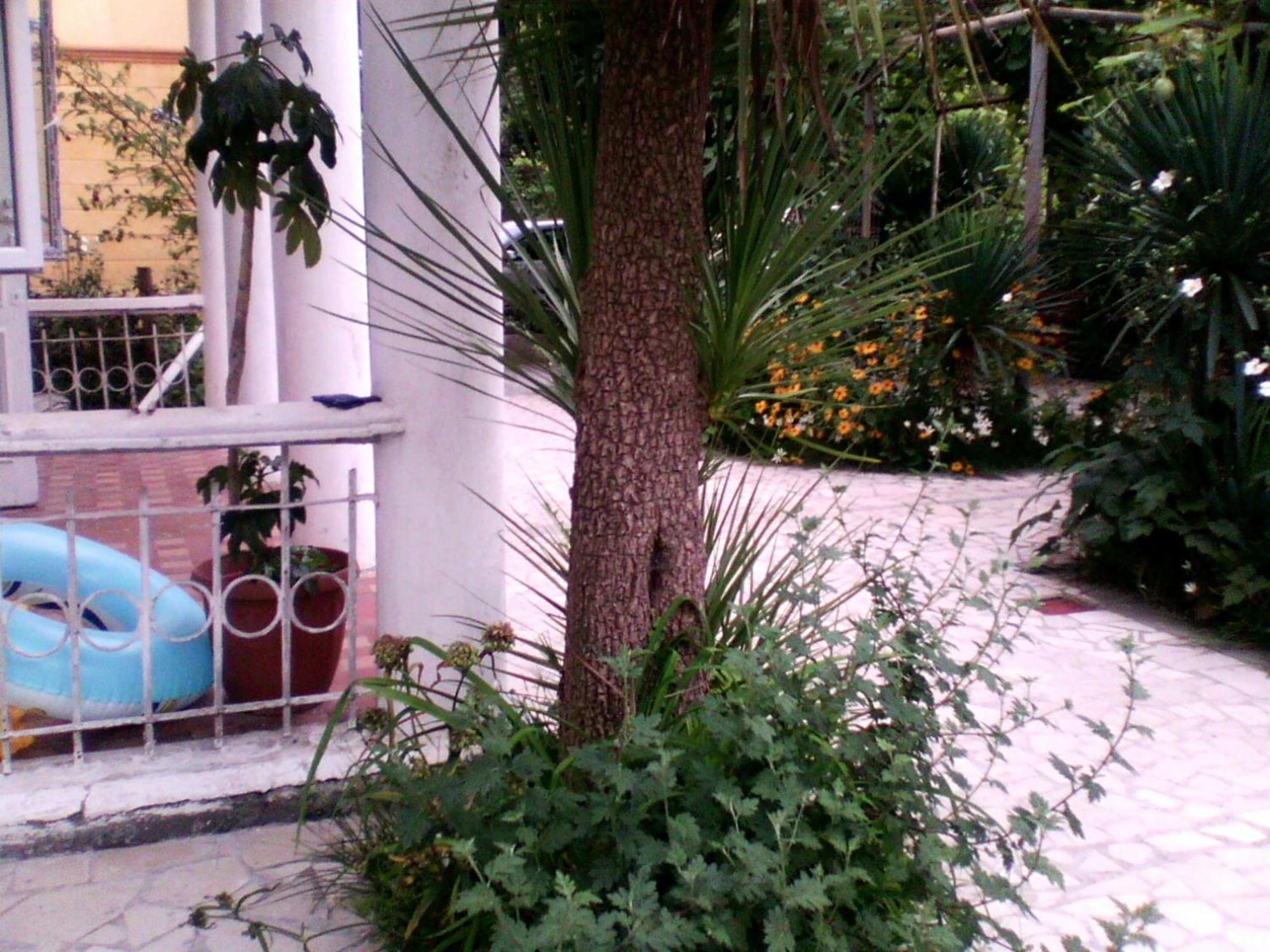 White Guest House Batoumi Extérieur photo