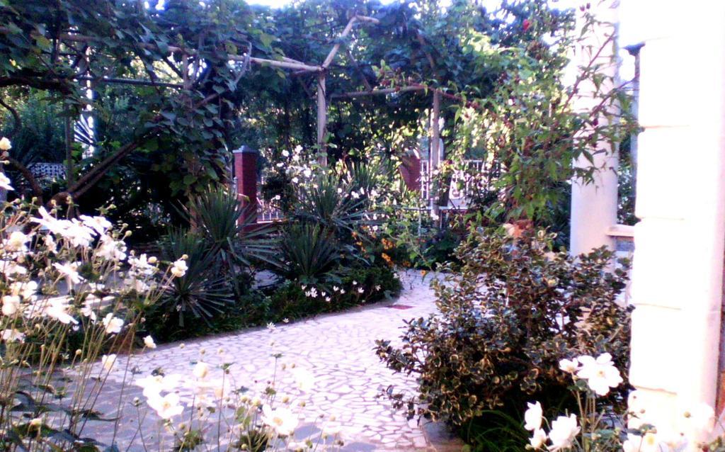 White Guest House Batoumi Chambre photo
